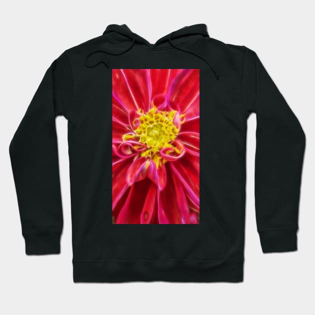 closeup macro photography of bright red dahlia bloom with pollen filled yellow center Hoodie by mister-john